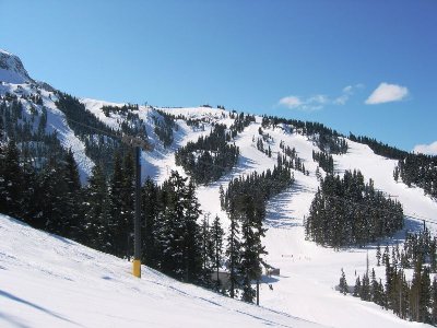 Die drei Abfahrten am Jersey Cream-Express. V.l. "Jersey Cream", "Cougar Milk", "Wishbone"