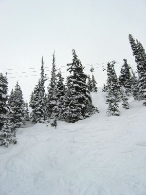 Tiefschnee am Rand der Abfahrt "Jersey Cream"