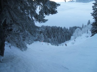 das ist kein schwarz-weiß Bild, durch die Kälte und den Nebel sah die Landschaft wirklich so mystisch aus