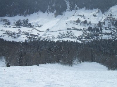 Wer findet die PB im Wald???