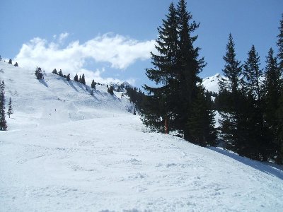Gauderpiste 24 nach Schiefer kurz vor dem Teufelsritt