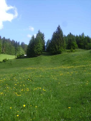 mittlerer Streckenabschnitt der 2. Sektion.jpg