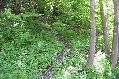 Ein Trampelpfad der zur Talstation führt..heute aber nicht mein Weg..