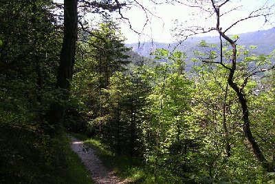 ..und die erste Begegnung mit der Abfahrt..