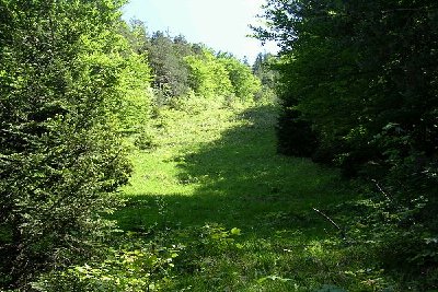 ..und dann eine Überraschung..