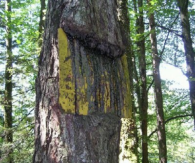 Nach langen Entzifferungarbeiten stand fest.. Spechetenalm/Stadtberg stand auf diesem Schild..