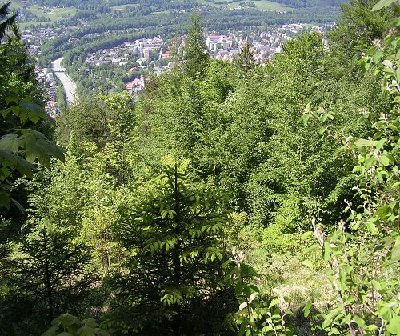 hier wurde es wieder etwas lichter..