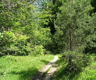 Nach dieser langen Kurve lag das Ziel..