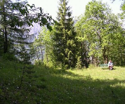 Aus dieser Positon muss die  Postkarte gemach worden sein..früher war hier alles kahl, kein einer Baum