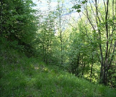 nochmal : Hier kam der lift hoch