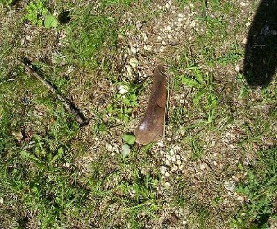 Relikte..Backsteeine sah man auch noch aus dem Boden ragen.