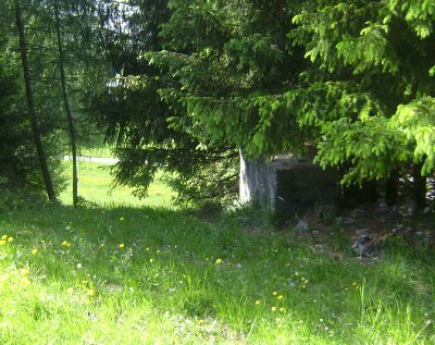 Ein Stützenfundament Zwischen den Bäumen -müssten einge aus dem Rateforum kennen