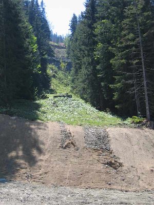 Blick von der Talstation auf die alte Lifttrasse.