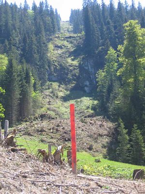 Neue Trasse von der Kandahar aus betrachtet. Hier wird die Bahn extrem steil, kommt auf den Fotos nicht so ganz rüber.