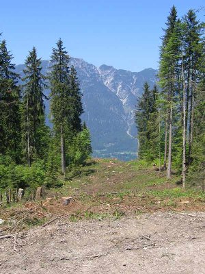 Und so schauts in Richtung Tal aus.