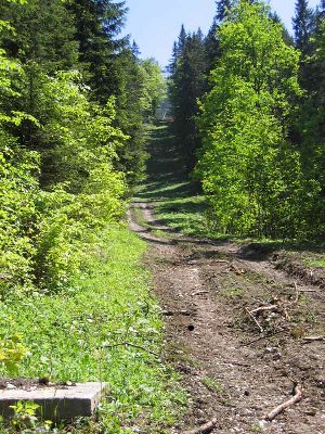 Alte Trasse des Olympialifts direkt hinter der ehemaligen Kurvenstütze.
