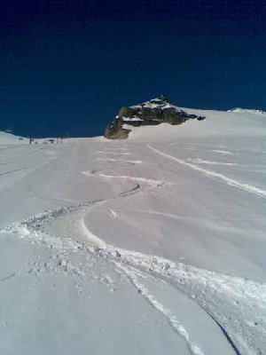 Nicht schlecht am 31. Mai...