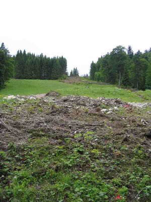 Blick von dem neuen Talstationsstandort auf die Trasse.