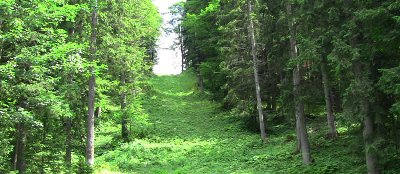 alte Trasse des Olympialifts