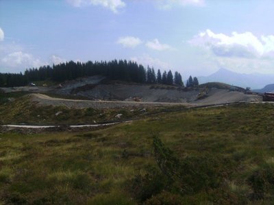 Tanzbodenteich 9.JPG