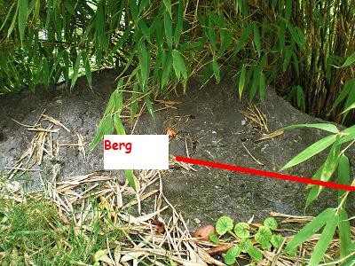 Berg