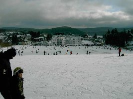 Blick vom Herrloh auf einen Teil von Winterberg, zu sehen sind auch die 4 Seillifte hier