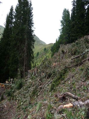 hier der blick nach unten... man kann auch die stütze erkennen, welche oben in der großaufnahme fotografiert wurde