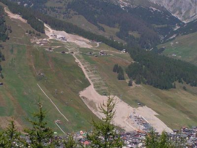 Der ganze Verhau vom Gegenhang