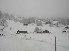 Talabfahrt Grindelwald von unsere Hütte aus gesehen