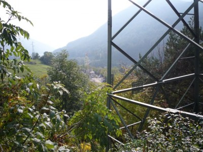 Neubau der Haltestelle Percha