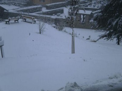 Blick in den Dorfgarten