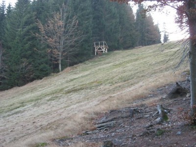 Auch auf der Damenabfahrt platz für Schneekanonen