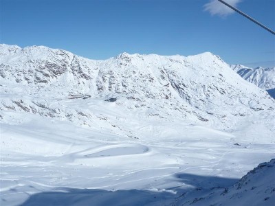 P1000835 (Medium).JPG