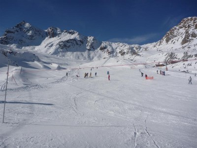 P1000946 (Medium).JPG