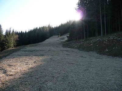Auch oberhalb vom Gasthof Fernblick wurden Erdarbeiten durchgeführt.