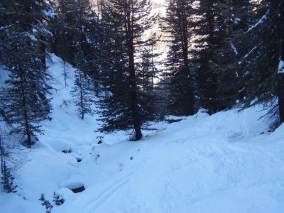 Idyllische Waldabfahrt.jpg