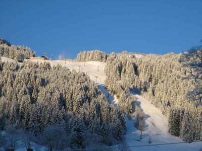 02.12. Bolsterlang in frischen weiß; was 10 cm und Sonne alles ausmachen