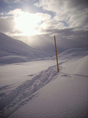 der rückbringer noch nicht so weit präpariert wie üblich