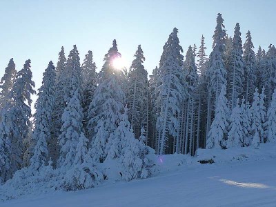 Es weihnachtet sehr. Schade, dass uns wieder Tauwetter bevorsteht.