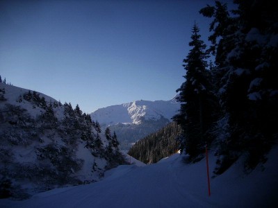 diesmal andere blickrichtung (gotschna)