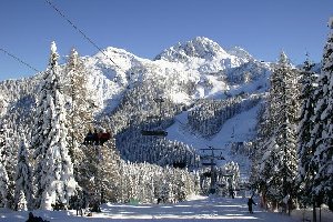 Unter der Tröglbahn mit Blick zum Gartnerkofel.