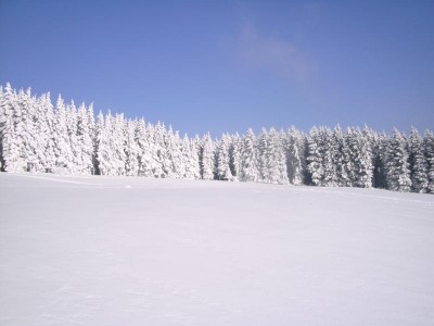 Der zu besteigende Tiefschneehang. Sieht nicht gerade steil aus er ist es auch nicht wirklich, etwas steiler als hier zu sehen allerdings schon