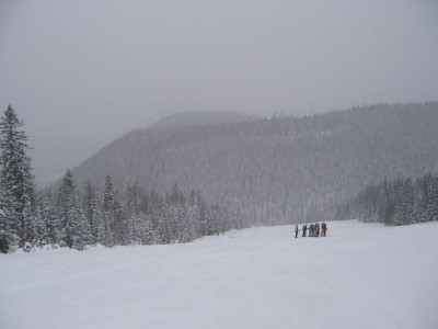 Sehr schön leere und pulvrig weiche Kurvenliftabfahrt