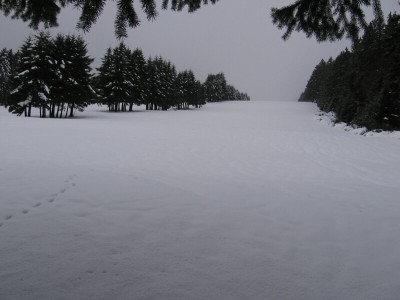 Von unten gesehen rechte Piste (Standort ist schon oberhalb vom Schlusshang) - Blick bergwärts