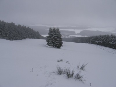 Wieder höher Blick talwärts. Diesmal beide Pisten + Lifte rechts
