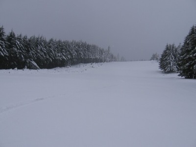 Oberer Teil der (von unten gesehen) linken Abfahrt - Links der Doppelschlepper