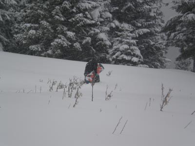 Atze Powder auf dem Weg zur Powder-Waldabfahrt