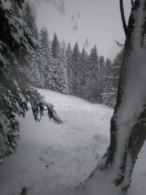Hier die Powder-Waldabfahrt von oben