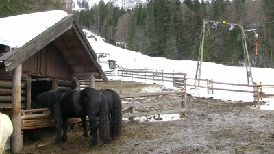 Bedächtige Ruhe an der Eibseealm, kaum Gäste... Riffelriß-Abfahrt geschlossen.