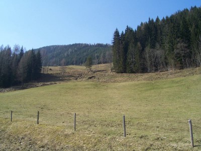 Blick von der Straße auf Skiroute 2
